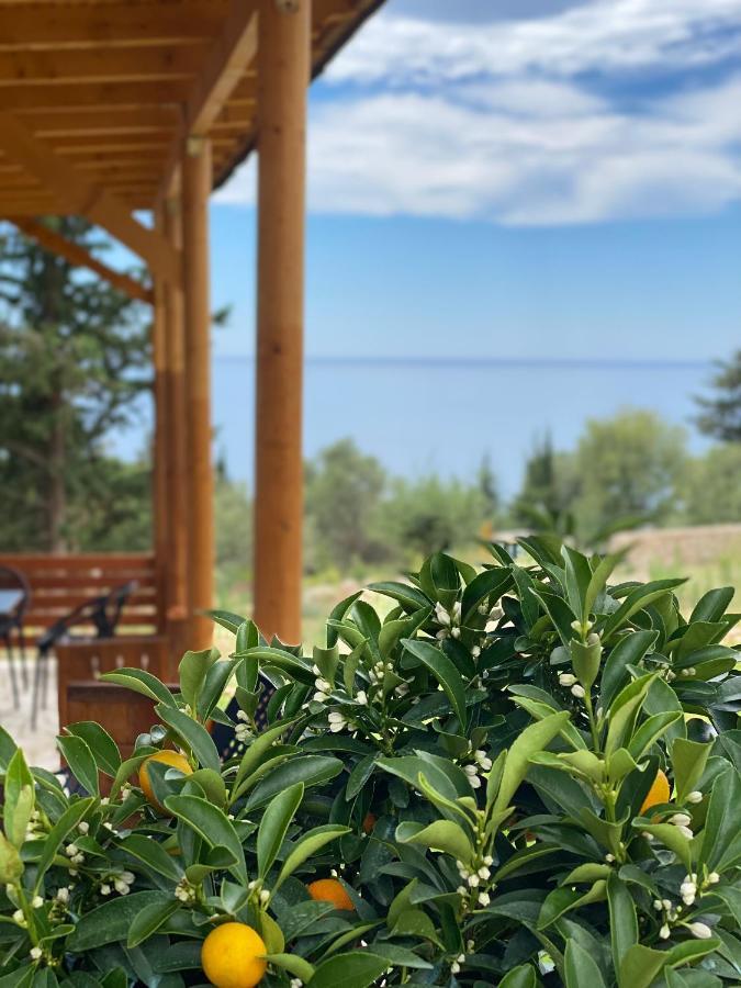 Summer Wine Boutique Hotel Dhërmi エクステリア 写真